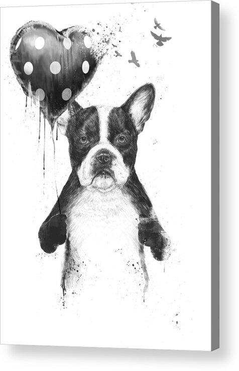 Bulldog Acrylic Print featuring the mixed media My heart goes boom by Balazs Solti