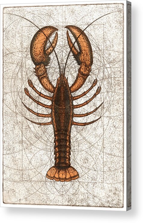 Lobster Acrylic Print featuring the painting Northern Lobster by Charles Harden