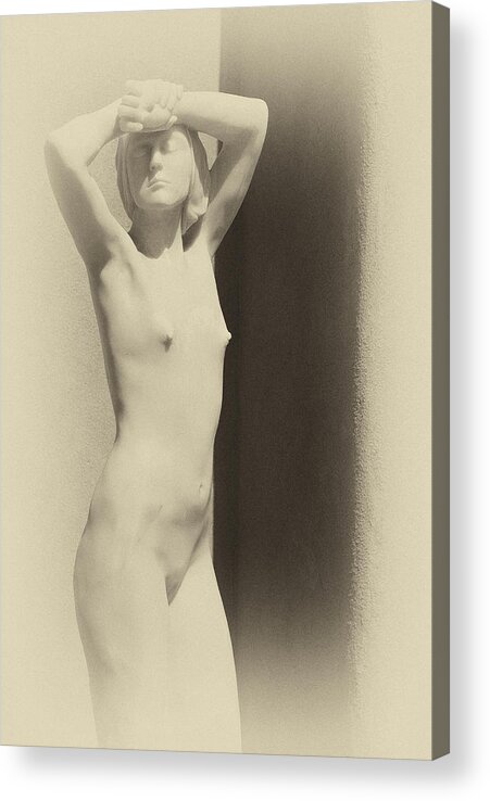 Art Acrylic Print featuring the photograph Nude by Carolyn D'Alessandro