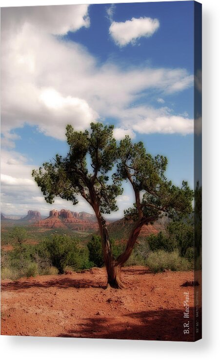 Sedona Acrylic Print featuring the photograph Oh the Scenery by Barbara MacPhail