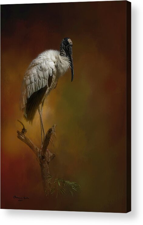 Birds Acrylic Print featuring the photograph On The Fork by Marvin Spates