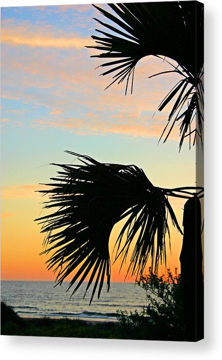 Beach Acrylic Print featuring the photograph Palm Silhouette by Kristin Elmquist