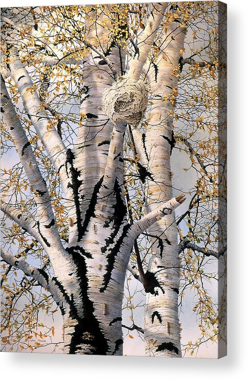 Birch Tree Acrylic Print featuring the painting Paper-Wasp Nest by Conrad Mieschke