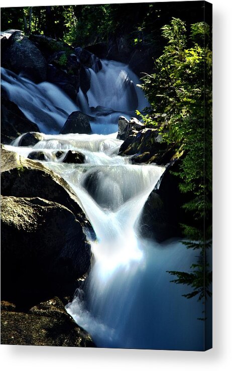 Paradise River Acrylic Print featuring the photograph Paradise River Backlit Vertical by Scenic Edge Photography