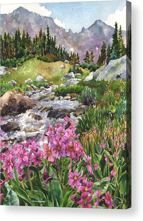 Pink Flowers Art Acrylic Print featuring the painting Parry's Primrose by Anne Gifford