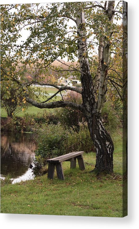 Pond Acrylic Print featuring the photograph Peaceful Retreat by Margie Avellino