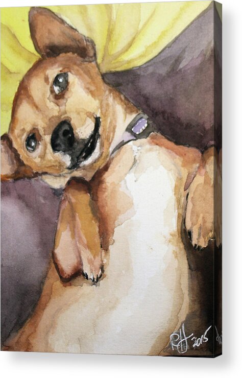 Chihuahua Acrylic Print featuring the painting Pedro The Chi-weenie by Rachel Bochnia