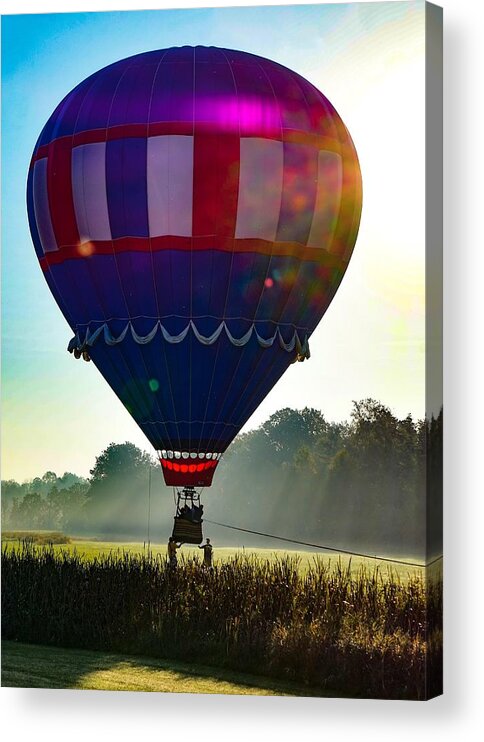  Acrylic Print featuring the photograph Perfect Landing by Kendall McKernon