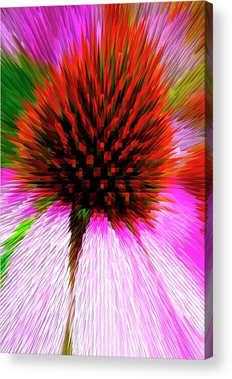 Special Effect Acrylic Print featuring the photograph Pointed flower by Paul W Faust - Impressions of Light