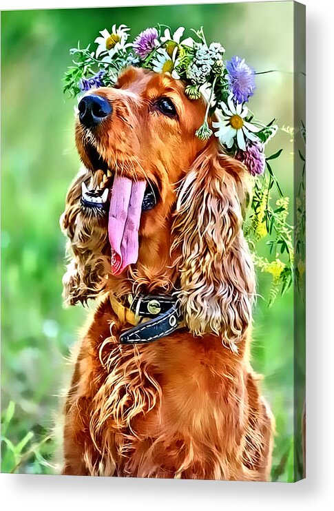 Dog Acrylic Print featuring the photograph Princess Daisy by Kathy Tarochione
