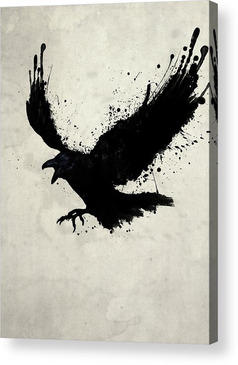 Raven Bird Sketch Spatter Drips Animal Wildlife Crow Hugin Munin Odin Mythological Viking Poe Nevermore Digital Illustration Acrylic Print featuring the digital art Raven by Nicklas Gustafsson