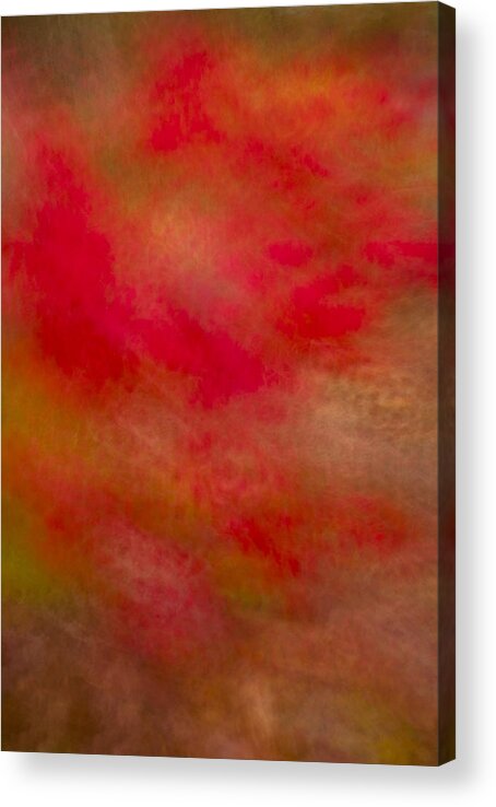 Impressionistic Acrylic Print featuring the photograph Red Dancer by Irwin Barrett