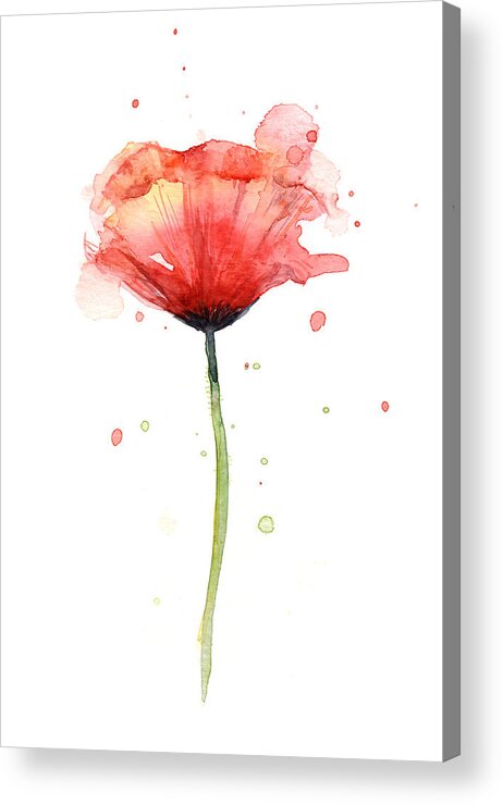 Watercolor Poppy Acrylic Print featuring the painting Red Poppy Watercolor by Olga Shvartsur