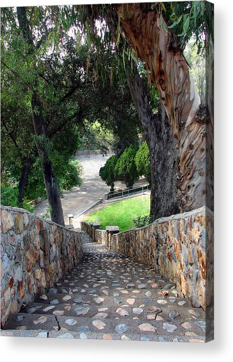 Rocks Acrylic Print featuring the photograph Rocky Stairway ll by Joanne Coyle