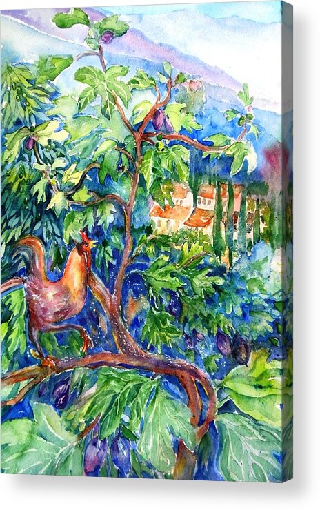  Rooster Acrylic Print featuring the painting Rooster in a Fig Tree, Tuscany  by Trudi Doyle