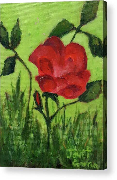 Red Flower Acrylic Print featuring the painting Rose by Janet Garcia