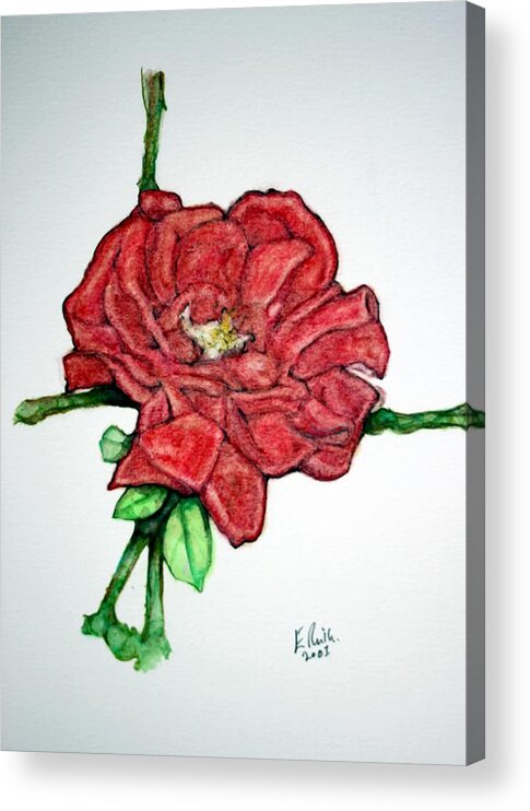 Rose Acrylic Print featuring the drawing Rose Study No 1 by Edward Ruth