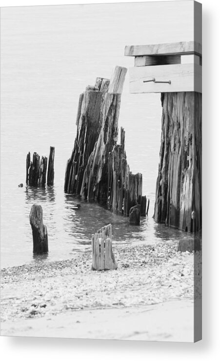 Black White Photo Acrylic Print featuring the photograph Rustic Pilings in BW by Margie Avellino