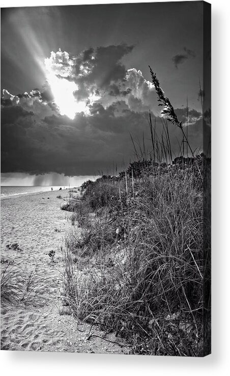 Sanibel Island Acrylic Print featuring the photograph Sanibel Dune At Sunset in Black and White by Greg and Chrystal Mimbs