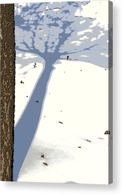 Shadow Acrylic Print featuring the photograph Shadow by Julie Lueders 