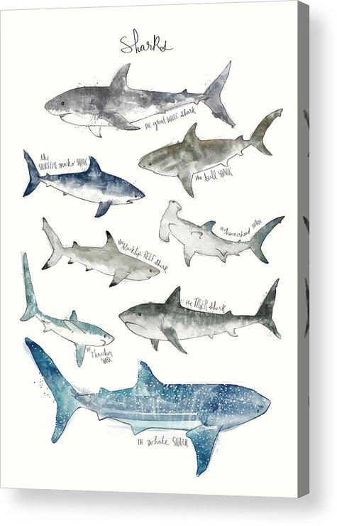 #faatoppicks Acrylic Print featuring the painting Sharks by Amy Hamilton