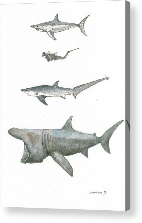 Sharks Acrylic Print featuring the painting Sharks in the deep ocean by Juan Bosco