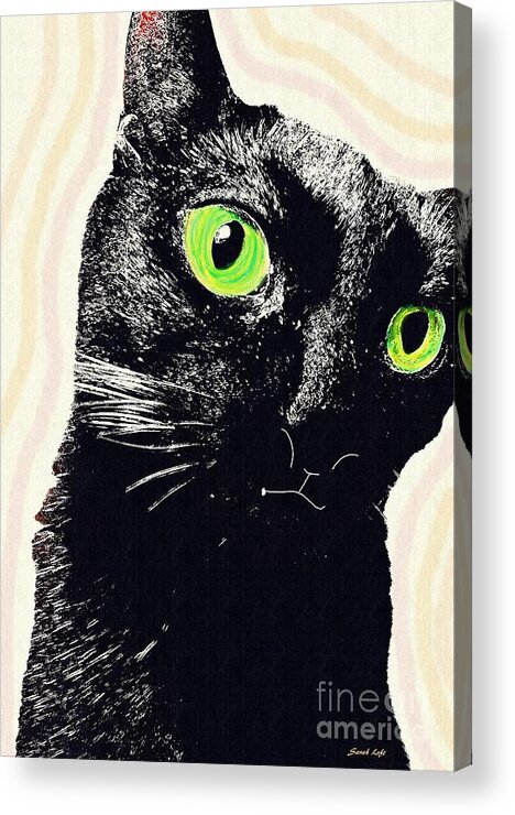 Cat Acrylic Print featuring the photograph Sheba by Sarah Loft