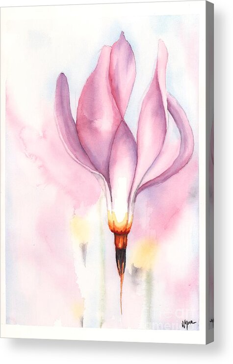 Dodecatheon Media Acrylic Print featuring the painting Shooting Stars by Hilda Wagner