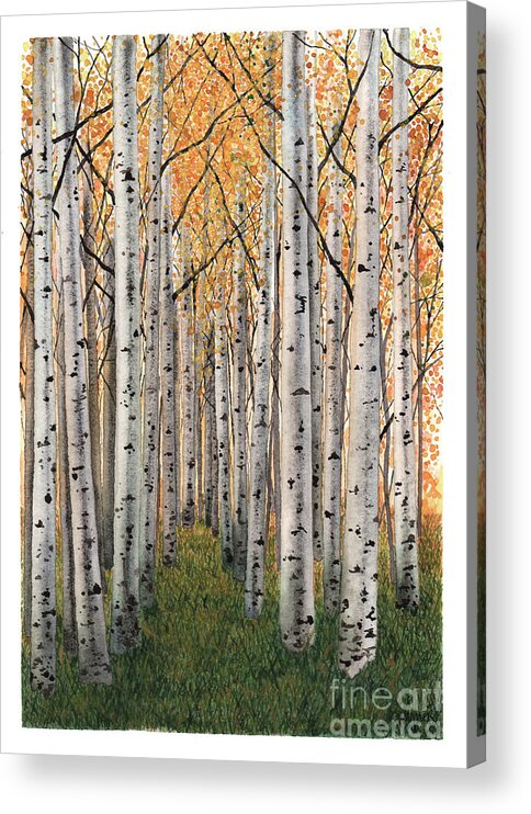 Forest Acrylic Print featuring the painting Sierra Aspens by Hilda Wagner