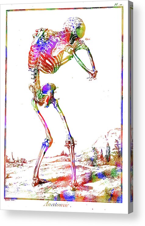 Skeleton Acrylic Print featuring the mixed media Skeleton by Ann Leech