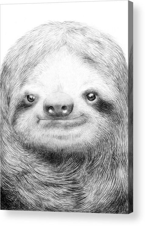 Sloth Acrylic Print featuring the drawing Sloth by Eric Fan