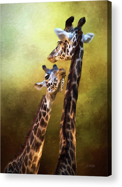 Someone To Look Up To Acrylic Print featuring the photograph Someone To Look Up To - Wildlife Art by Jordan Blackstone