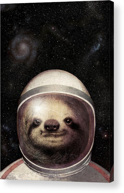 Sloth Acrylic Print featuring the drawing Space Sloth by Eric Fan