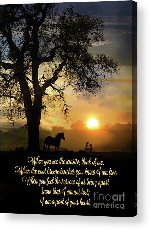 Sympathy Acrylic Print featuring the photograph Spiritual Memorial Sympathy Horse and Oak Tree Poem by Stephanie Laird