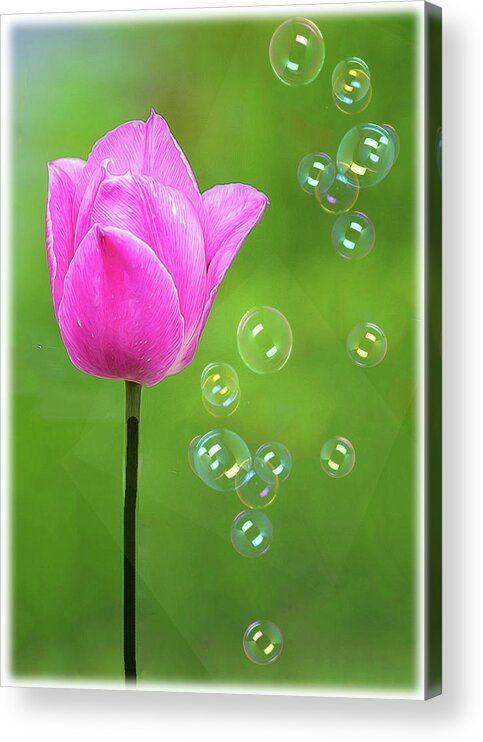 Pink Acrylic Print featuring the photograph Spring Is Here by Cathy Kovarik