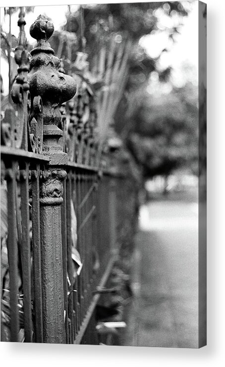 New Orleans Acrylic Print featuring the photograph St. Charles Ave Wrought Iron Fence by KG Thienemann