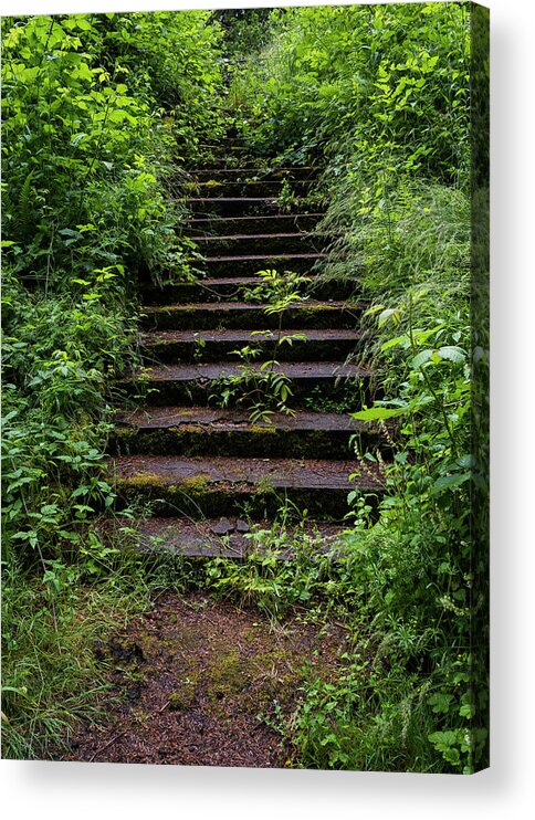 Astoria Acrylic Print featuring the photograph Stairway of Memory by Robert Potts