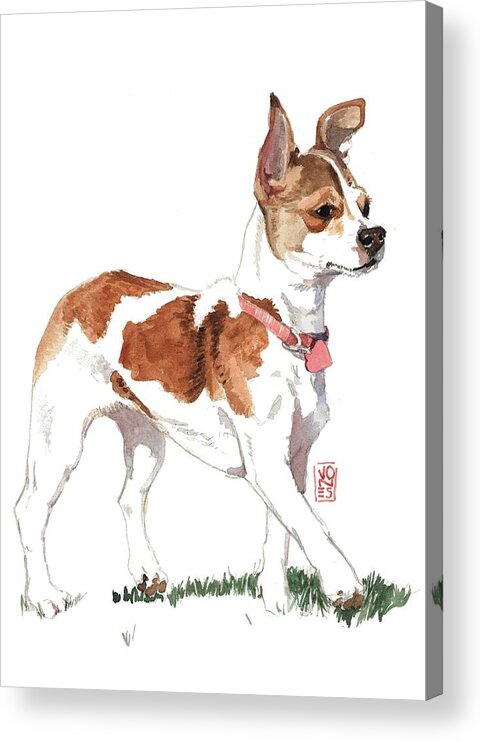 Akc Acrylic Print featuring the painting Strutting Chihuahua by Debra Jones