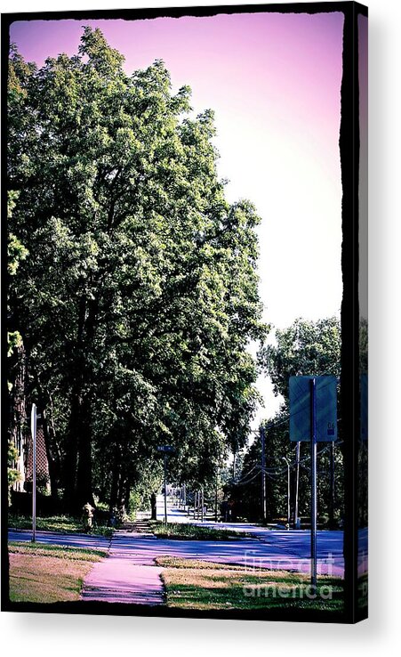 Suburban Street Acrylic Print featuring the photograph Suburban Tree by Frank J Casella