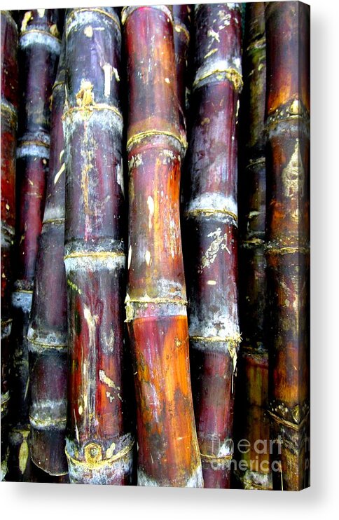 Produce Acrylic Print featuring the photograph Sugar Cane by Randall Weidner