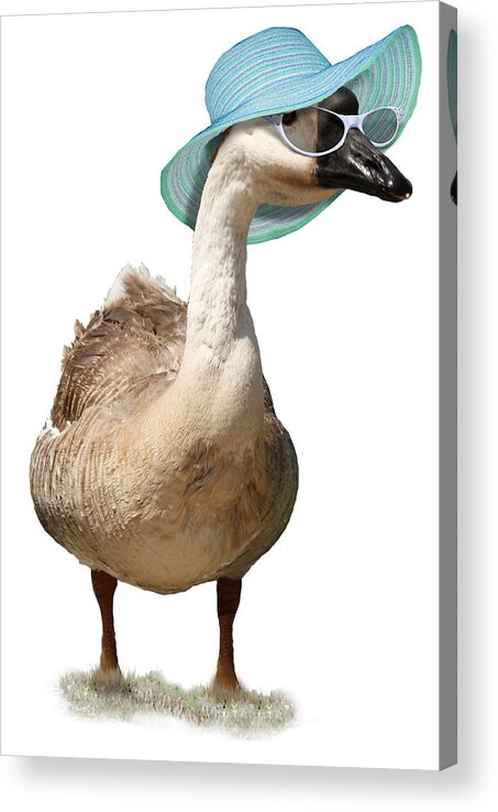 Goose Acrylic Print featuring the mixed media Summer Goose by Gravityx9 Designs