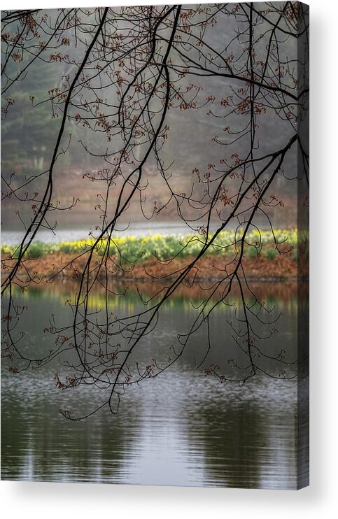 Spring Acrylic Print featuring the photograph Sun Shower by Bill Wakeley