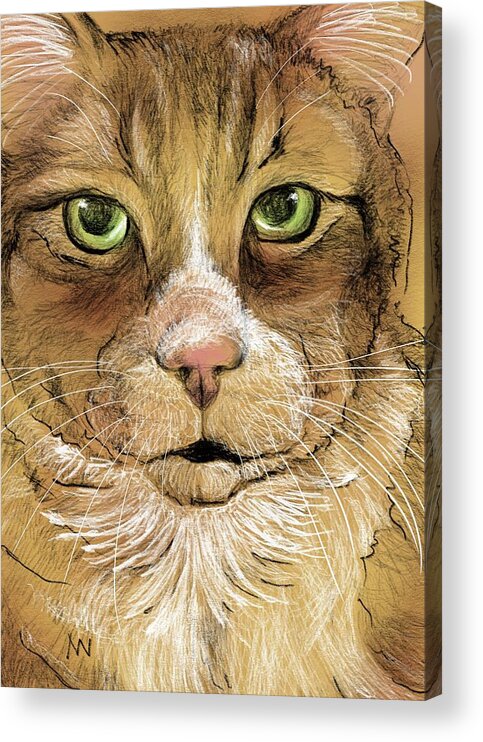 Tabby Cat Acrylic Print featuring the digital art Tabby Cat by AnneMarie Welsh
