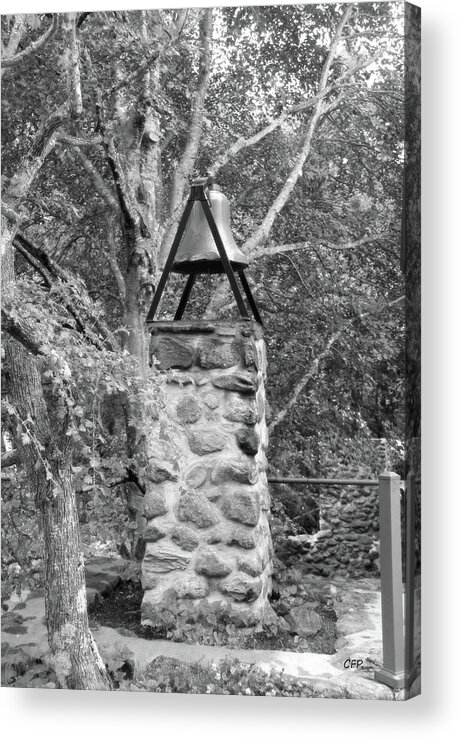 Nature Acrylic Print featuring the photograph The Bell by Becca Wilcox