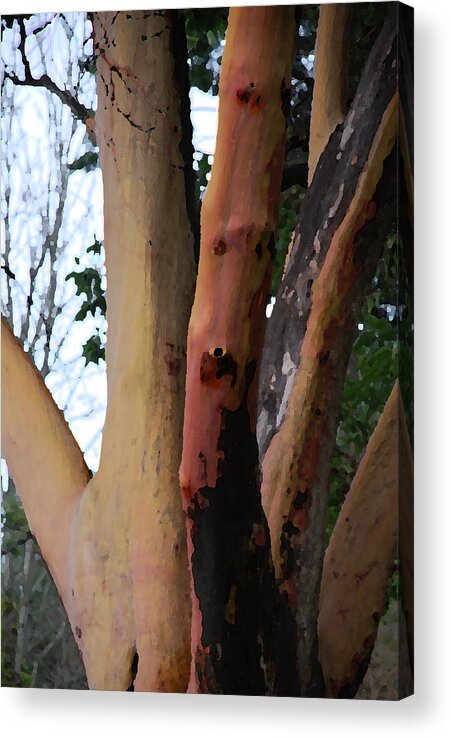 Trees Acrylic Print featuring the photograph The Hand by Carol Eliassen