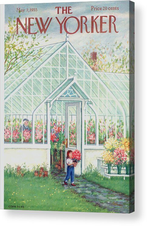 Greenhouse Acrylic Print featuring the painting New Yorker May 7th, 1955 by Edna Eicke