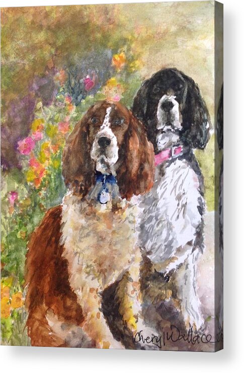 Springer Spaniels Acrylic Print featuring the painting The Puppies by Cheryl Wallace
