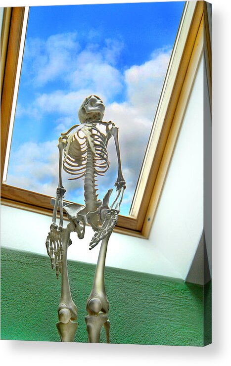 Skeleton Acrylic Print featuring the photograph The Window by Robert Lacy