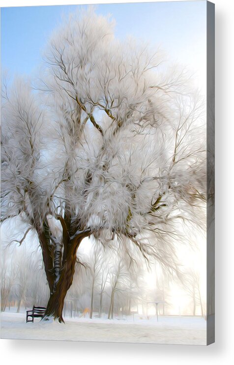 Blue Acrylic Print featuring the photograph Tree by Svetlana Sewell