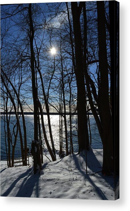 Abstract Acrylic Print featuring the photograph Trees By The Lake In Early Winter by Lyle Crump